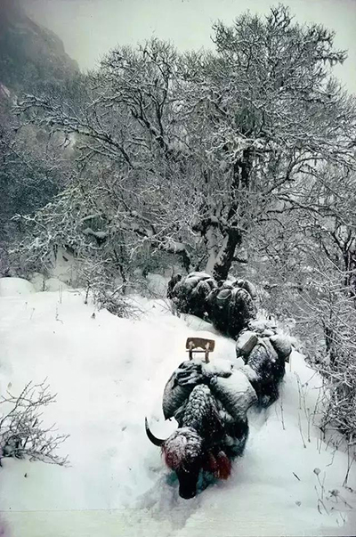 ��Ȧ(�й���)�������ǲ�!