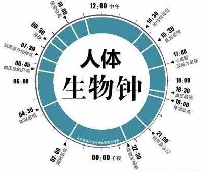 抖圈(中国区)人生就是搏!